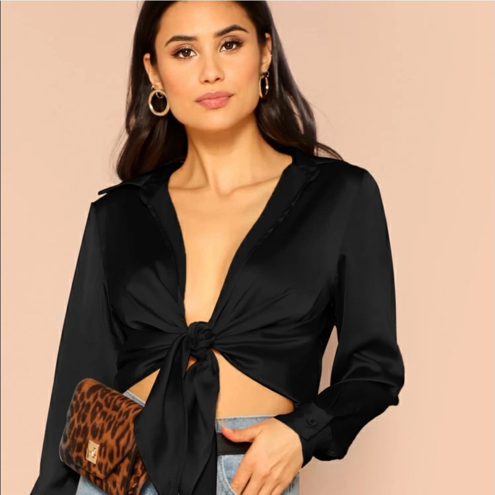 Collar satin plunge front tie up crop top blouse